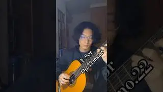 F. Sor - Op.35 no.22 Etude in Bm #moonlight #classicalguitar #shorts