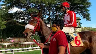 Bangalore 1000 Guineas 2020 Winner - Forest Flame