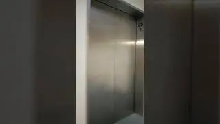 backrooms office level