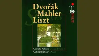 Zigeunermelodien, Op. 55: VII. Darf des Falken Schwinge