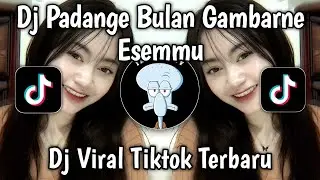 DJ PADANGE BULAN GAMBARNE ESEMU | DJ KAWITANING SINAWANG VIRAL TIKTOK TERBARU 2025 !