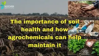 The importance of soil health and how agrochemicals can help maintain it