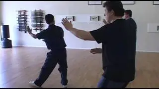 Yang Family Tai Chi practice Knee Brushes and Hand Strums Lute
