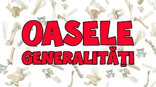 Oasele - Generalitati