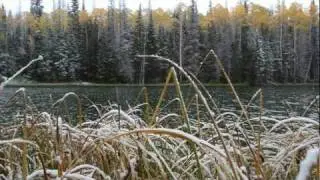 Fall Fishing on Boulder Mountain