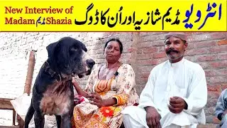 New Interview Madam Shazia And Beautiful Black Bully Dog of Madam Shazia By Nafa TV HD