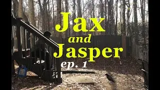 Jax and Jasper ep. 1 | Introduction