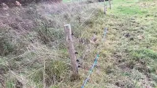 Electric Fencing RPA appeal