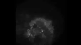 HAARP, the most powerful ionosphere heater on Earth: Plasma interacts with radio waves