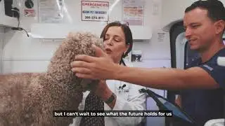 Veterinary Marketing Testionial - All Pets Care Mobile Vet