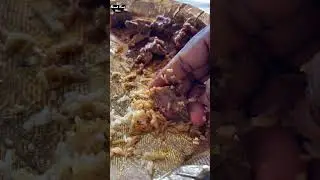 Friend Marriage Non-Veg Food | wedding buffet | Marriage Food #shorts #youtubeshorts