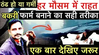 बकरी फार्म बनाने का सबसे अच्छा तरीका | Goat farm shed kaise banaye
