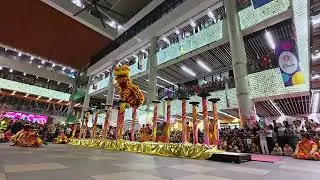 🎥 INSANE HIGH POLE LION DANCE CAPTURE! 🦁⚡ Singapore Shui Lian Gong 