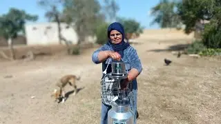 مشروع من دارك  اللبن زعزع غير إلا مابغيتش تنوضي💪 تخدمي على راسك تكوني حتى نتي بفلوسك