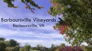 Barboursville Vineyards - Barboursville, VA (includes the Barboursville Ruins)