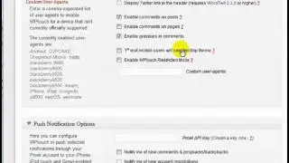 wordpress mobile plugin