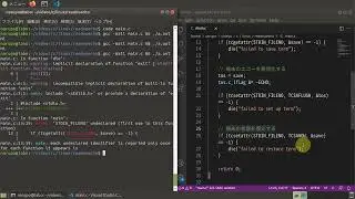 端末のエコーを抑制して入力を読み取る【Linux C言語プログラミング】