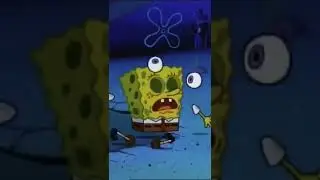 SPIDERS
