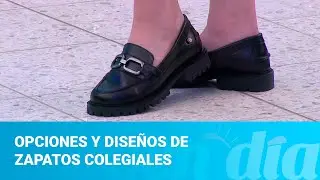 Opciones y diseños de zapatos colegiales