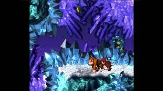 Level 4-2 : Slipslide Ride - Donkey Kong Country
