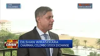 Sri Lanka stock exchange chairman foresees four to five more months of difficulty
