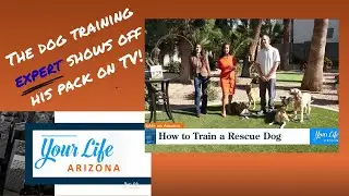 Dog Trainer Featured on Your Life Arizona TV - How To Train A Rescue Dog - #viral #dogtraining #dog