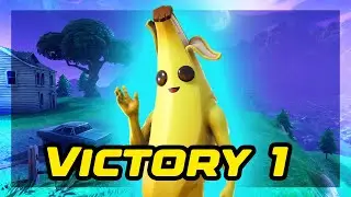 MY 1ST FORTNITE WIN!