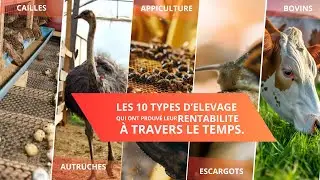 10 &Eacute;levages Rentables &agrave; D&eacute;marrer d&egrave;s Aujourd'hui!