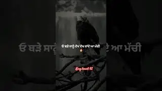 sky king of eagle#trending #shortsfeed #tweetreels #trendingshorts #shortsviral #eagle #tweet