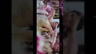 adipoli❤ |song whatsapp status👍| ashwin kumar| ❤atws cutz🤞| yogeshwar.b.s.s👑|