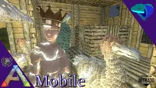 SHOULDER DODOS! SPINO TLC! OTTER HATS! MAJOR UPDATE! ARK: Mobile [S2:E34]