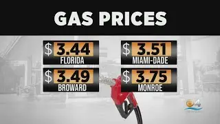 Florida gas prices sink to seven month low