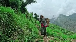 traditional water & stone flour machine || rural nepal village life || eastern rural nepal ||