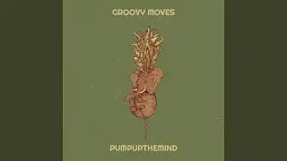 Groovy Moves