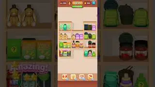 Goods Puzzle Sort Challenge Level 230 Gameplay