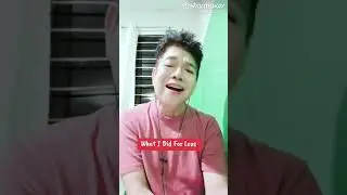 What I Did For Love 