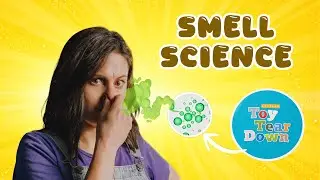 The Science of Scratch-N-Sniff + My DIY Stinky sticker Experiment