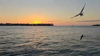 #sunset #keywest #beach #beachlife #travel #travelphotography #lifestyle 