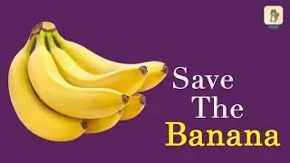 Save The Banana | Bananas At Risk! | Foonaapp