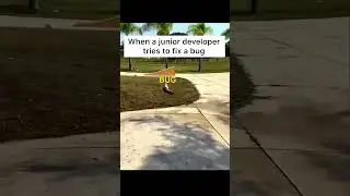 Junior devs 😂 #meme #shorts