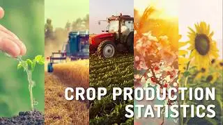 Crop production statistics