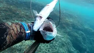 Mig29 PescaSub: Spearfishing Puglia 2020 by F.R.
