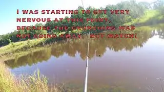 Reelsnot - Does it actually work?