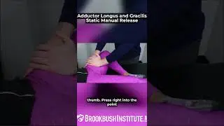 Adductor Longus and Gracilis Static Manual Release