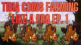 Farm Tibia Coins Like A PRO Ep. 1