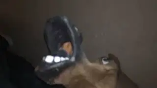 James Baxter irl