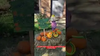 Fall 2025 Pumpkin Patch at Murphy Road Baptist Church in Murphy, Texas