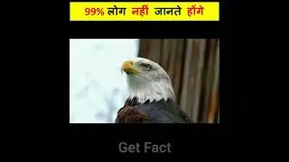 Train par ye lines kyu bne hote hai ?