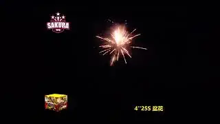 Z061 4寸25发盆花 (模压)  24/1 #fireworks #fireworkssupplier #johorbahru #johor #happynewyear