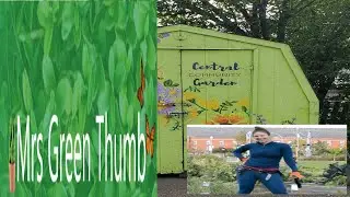Central Community Garden Edmonton Alberta Canada #communitygarden #edmonton #mrsgreenthumb